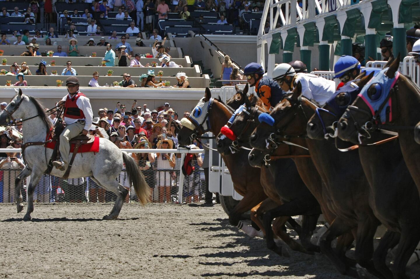 Horses break from the gate for the first race of the 2014 season at the Del Mar racetrack.