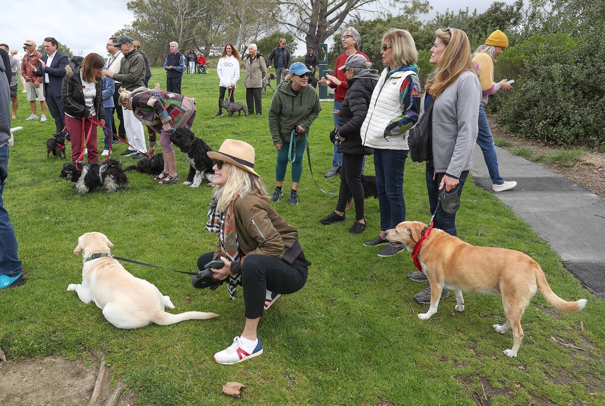 Guests wait to be the first ones to let their dogs chase each other at Moulton Meadows Park.