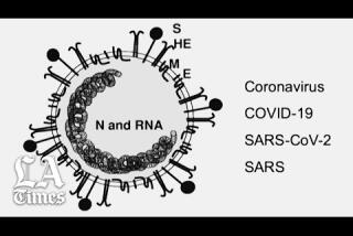 Part 1: What is the coronavirus?