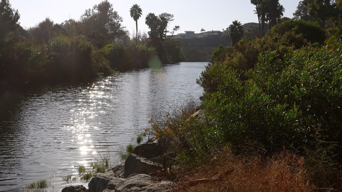 Even in the dry season, Aliso Creek is constantly flowing from inland cities' runoff that funnels through Aliso Canyon and eventually reaches the ocean.