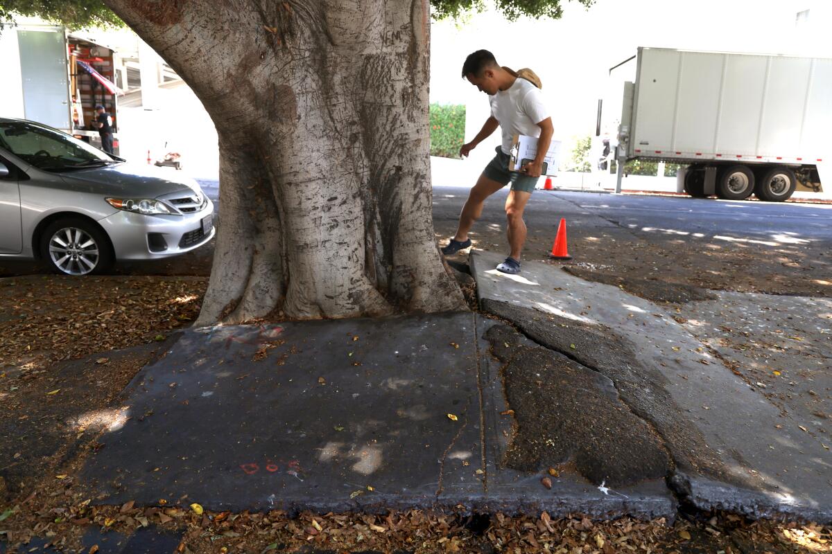     John Yi, center, looks at the sidewalk that was damaged by tree roots along S. Oxford Ave. 