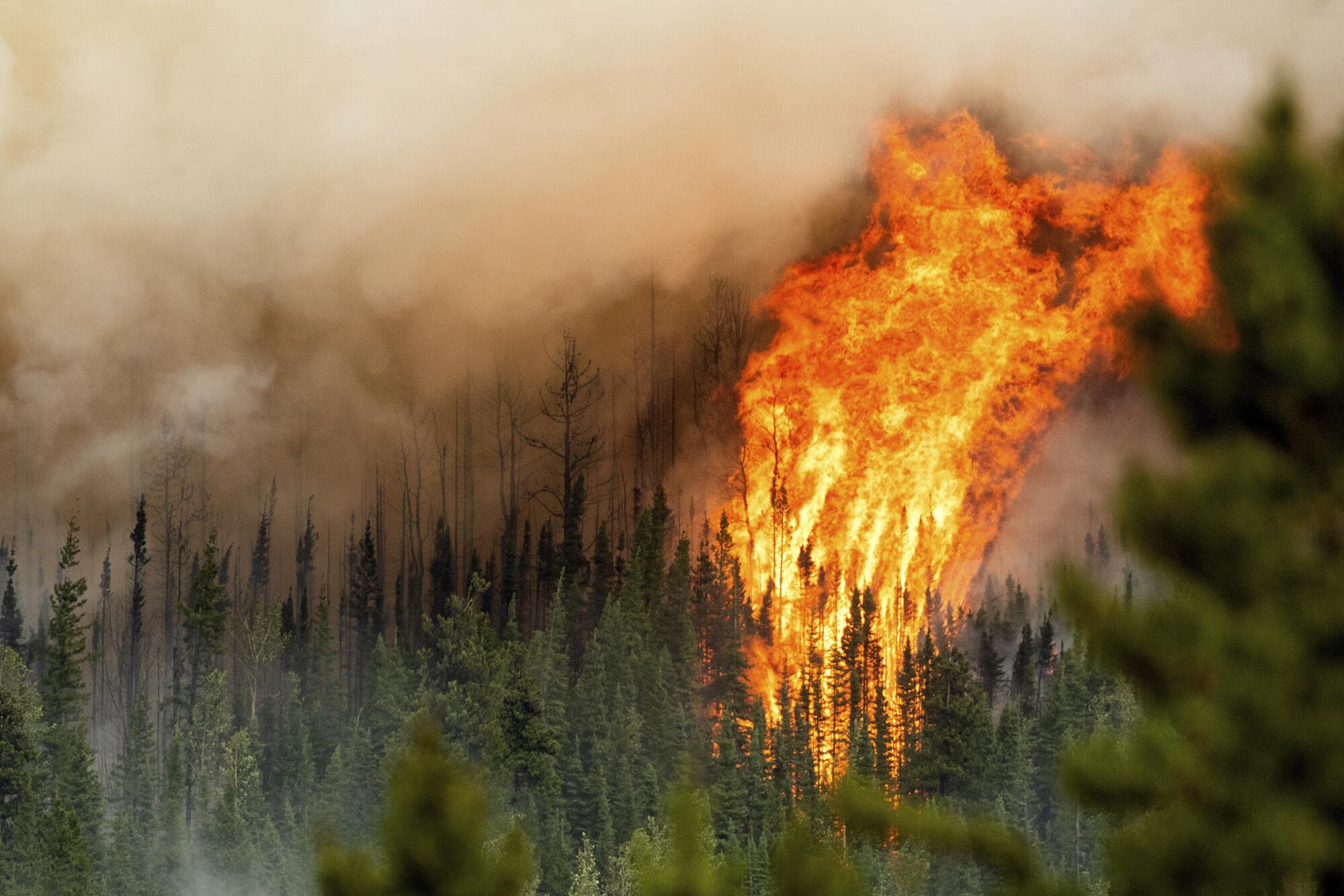 Flames reach high above a forest as smoke covers the sky.