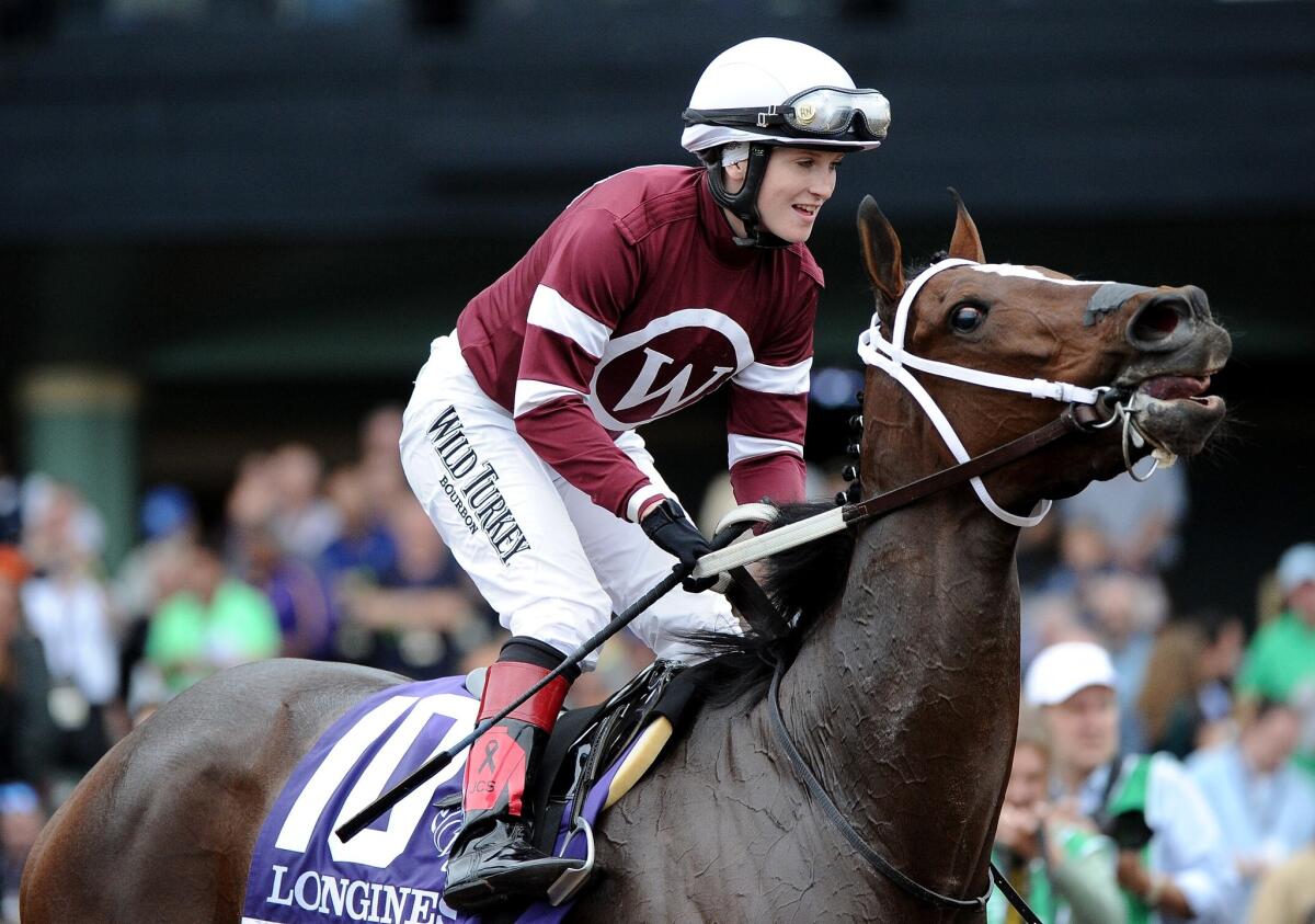 Untapable throws back her head after jockey Rosie Napravnik guided her to victory in the Breeders' Cup Distaff on Oct. 31.