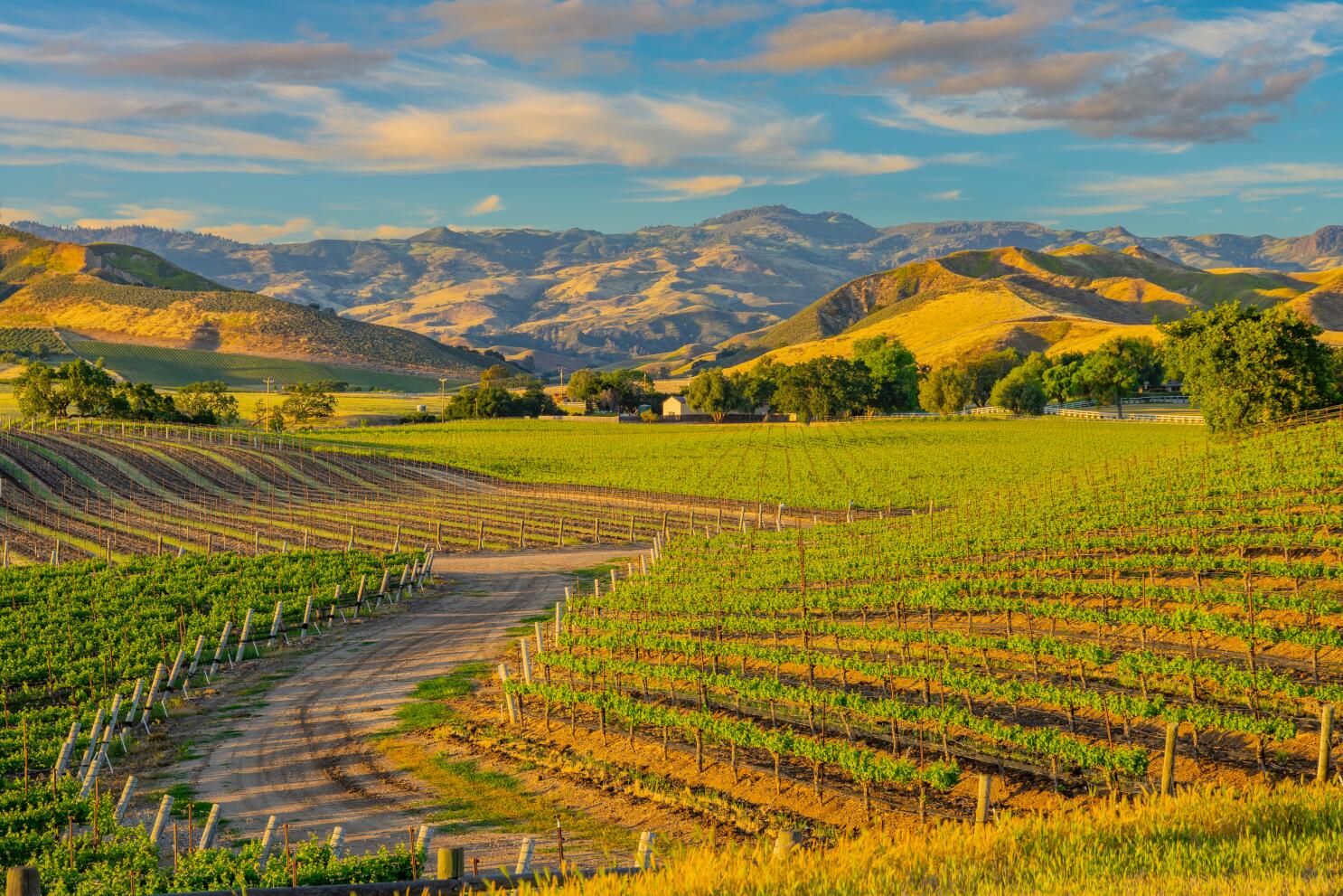 Napa Valley, Sonoma Take On Outdoorsy Luxury With New Hotels & Restaurants  - Bloomberg