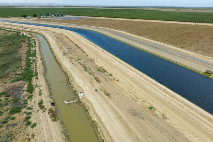 Firebaugh, CA - June 03: The Delta-Mendota Canal, right, and a parallel canal under the Panoche Water District's control, left, on Friday, June 3, 2022 in Firebaugh, CA. In April the U.S. Attorney's office charged the head of the Panoche Water District with stealing 25 million dollars worth of water out of the Delta Mendota Canal exploiting a leak in the canal where he engineered a way to steal water from the federal Central Valley Project. (Brian van der Brug / Los Angeles Times)