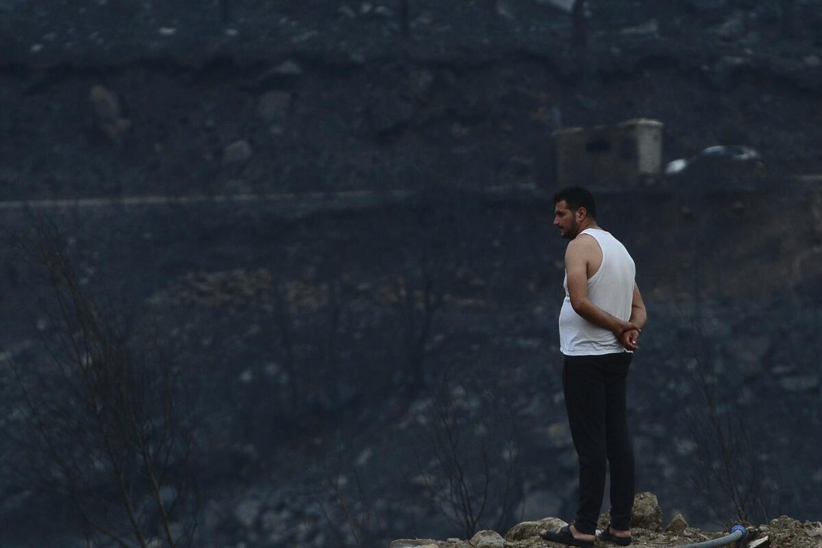 A man looks at the aftermath of a raging wildfire in Bouira, Algeria.