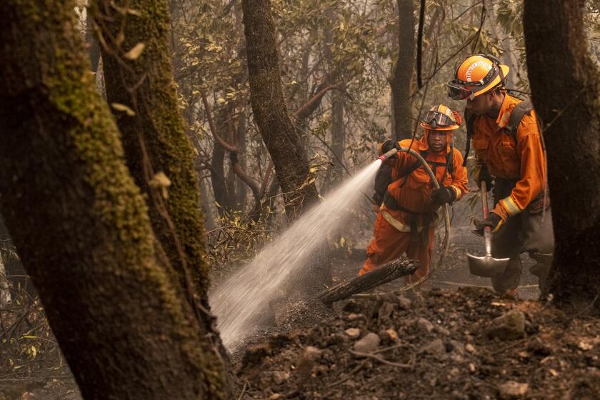 OROVILLE, CA - SEPTEMBER 11: Trinity River Conservation Camp crew members drown embers on Stringtown Rd. where a Thursday evening flare-up burned over a camp crew truck on the Bear fire on Friday, Sept. 11, 2020 in Oroville, CA. (Brian van der Brug / Los Angeles Times)