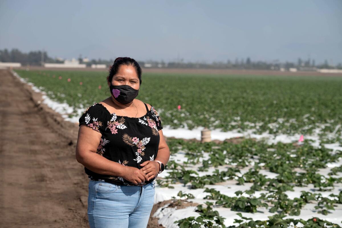 Eulalia Natividad Mendoza, 44, contracted COVID-19 and now works to educate Indigenous farmworkers about the virus.