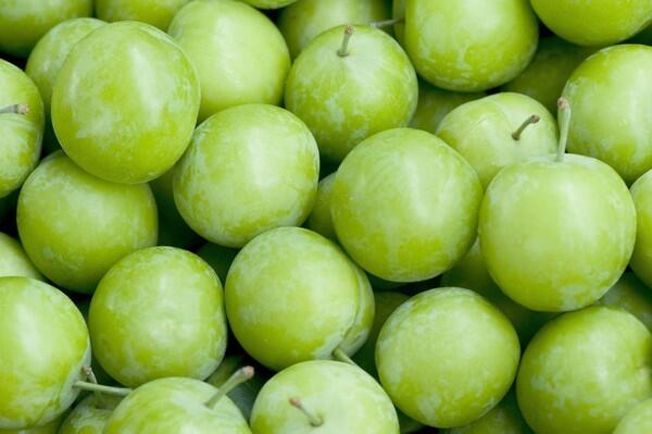 Green (unripe) plums