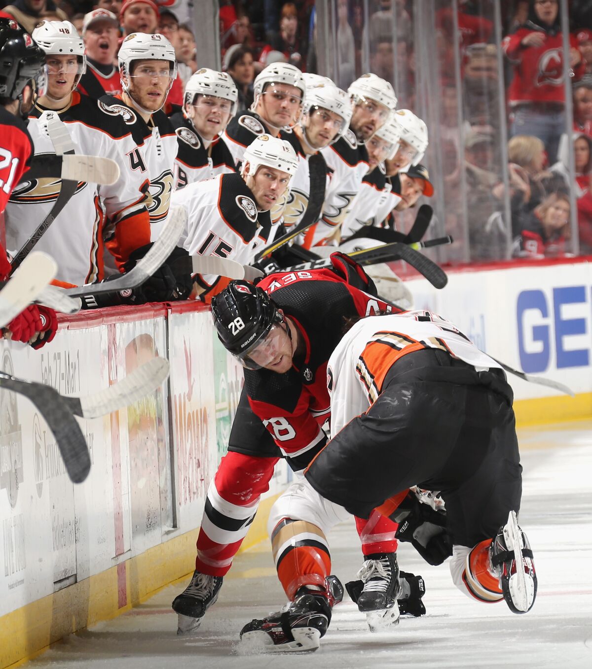 The Ducks' bench watches a fight between left wing Max Comtois and Devils defenseman Damon Severson during a game Dec. 18.