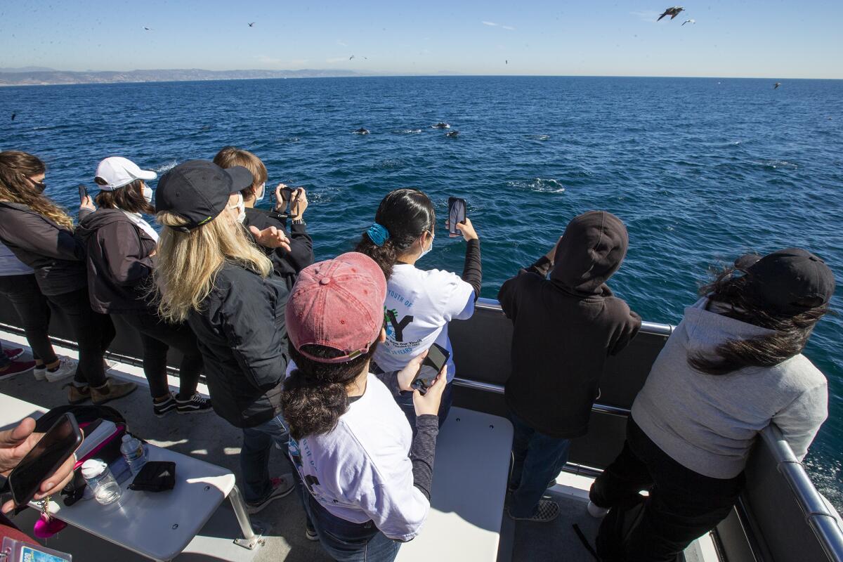 Students with Save Our Youth take part in a whale watching trip on Friday, Feb. 19.