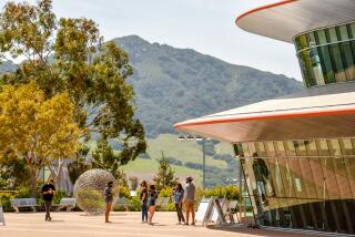 Cal Poly San Luis Obispo is one of the most popular and selective campuses in the CSU system. The mascot is a mustang.
