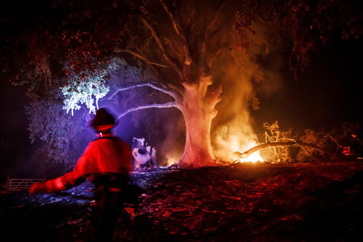 Firefighters monitor an oak tree at the site of a property that was burned by the River fire near Lakeport, Calif.