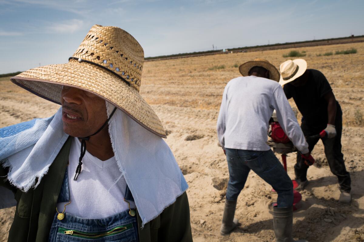 Dennis Hutson directs two farmworkers as they auger holes for trees to act as a windbreak on his farm.