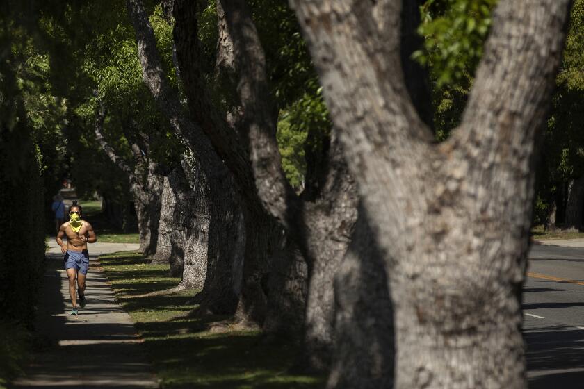 LOS ANGELES, CA-MAY 7, 2020: A jogger makes his way down a tree lined 6th St. in Los Angeles. (Mel Melcon/Los Angeles Times)