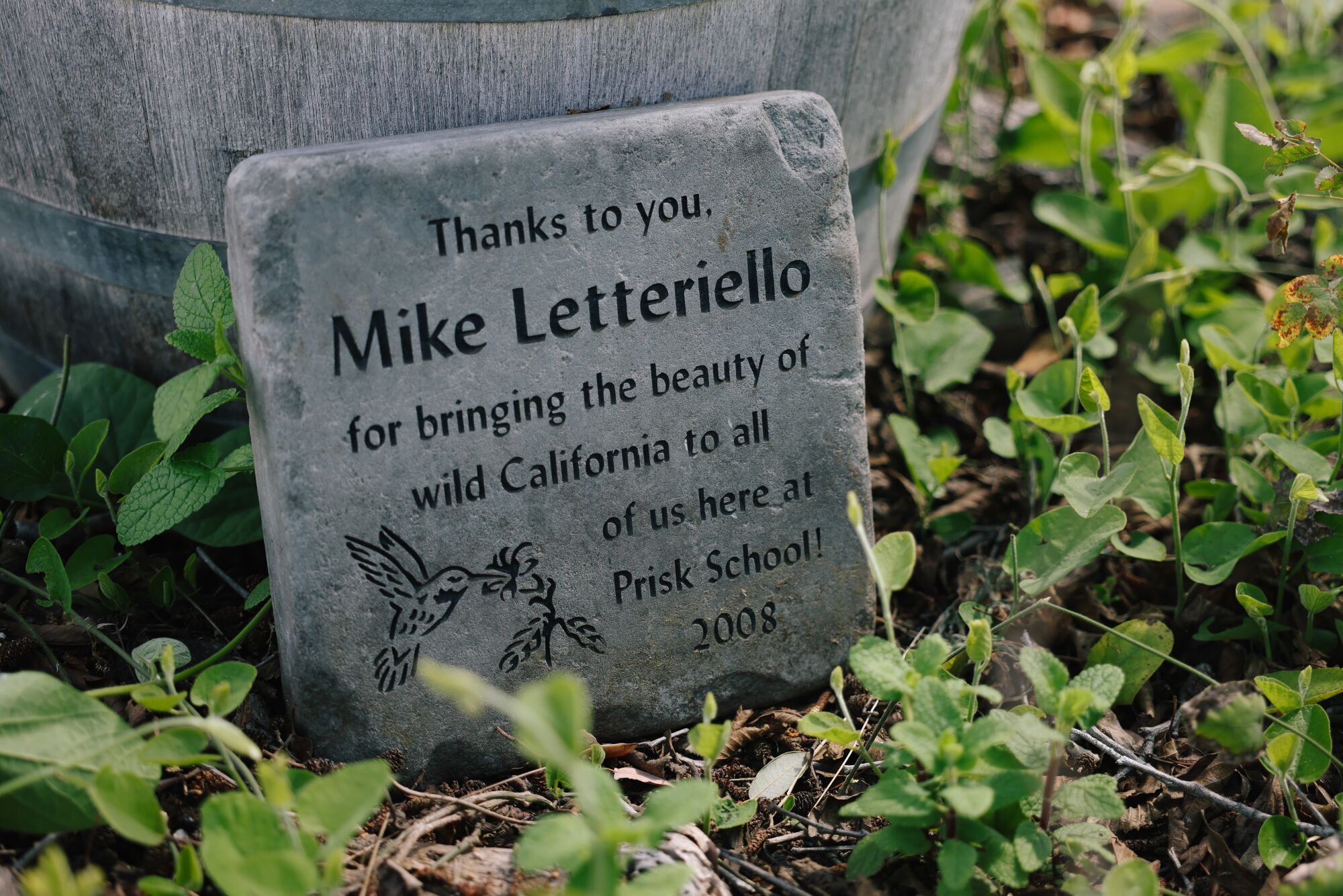 A stone plaque on the ground amid greenery with the words 'Thanks to you, Mike Letteriello"