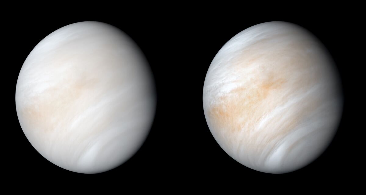  A computer-processed image of Venus, wreathed in clouds, and a contrast-enhanced version that shows more detail.