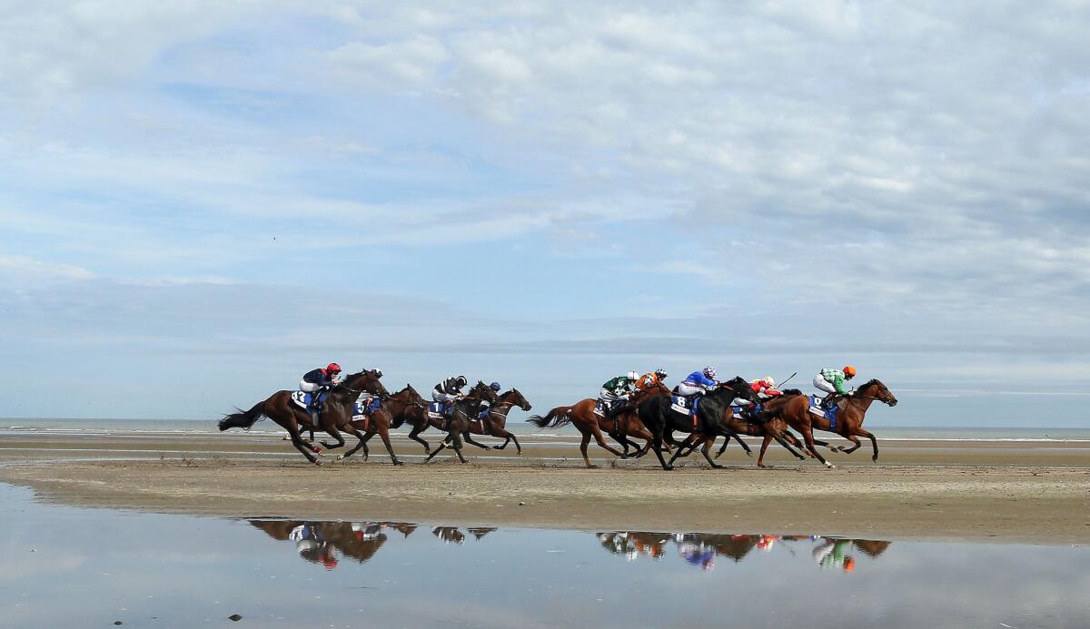 Horses race on the course on Laytown beach in County Meath on the east coast of Ireland.