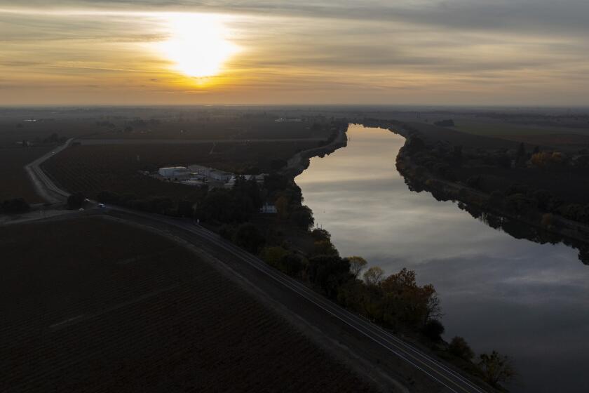 Courtland, CA - December 05: The Sacramento River flows past Greene and Hemly orchards along state Hwy. 160 near a spot where one of two proposed intakes will be located for the Delta Conveyance Project on Tuesday, Dec. 5, 2023 in Courtland, CA. (Brian van der Brug / Los Angeles Times)