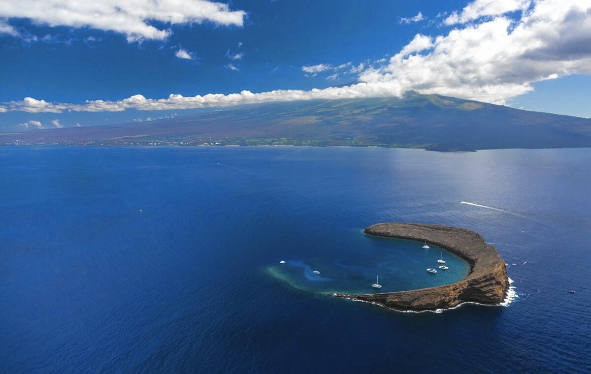 A boat ride to Molokini, off Maui, delivers snorkelers to a rare sanctuary with a stunning diversity of sea life.