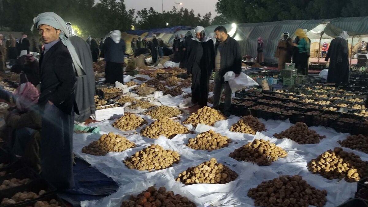 In Nukrut Al-Salman, a southern Iraqi town that was the site of Saddam Husseins most remote prison, truffle merchants ply their trade in dedicated markets.