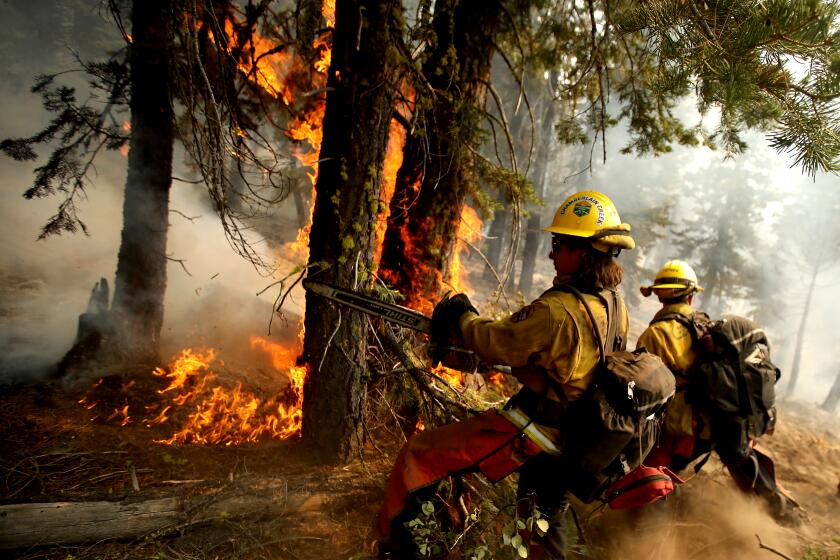JANESVILLE, CALIF. - AUG. 18, 2021. Firefighters clear away combustible material at the head of the Dixie Fire near Janesville, Calif., on Firday, Aug. 20, 2021. The fire has burned more than 1,100 square miles, destroyed 659 homes and is only about 30 percent contained. (Luis Sinco / Los Angeles Times)