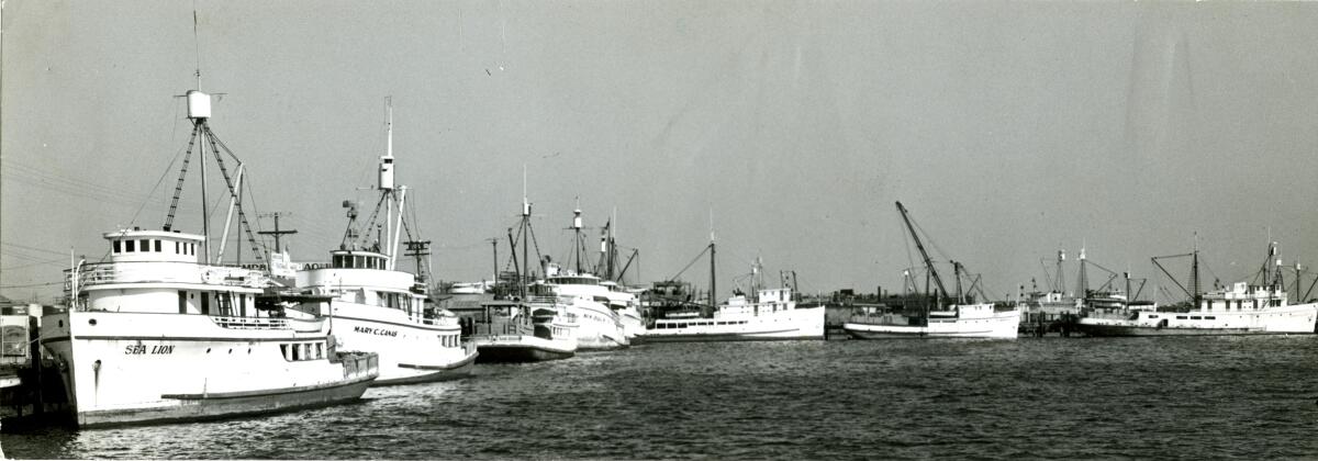 Line and pole fishing in 1917.  San diego, Tuna fishing, Diego