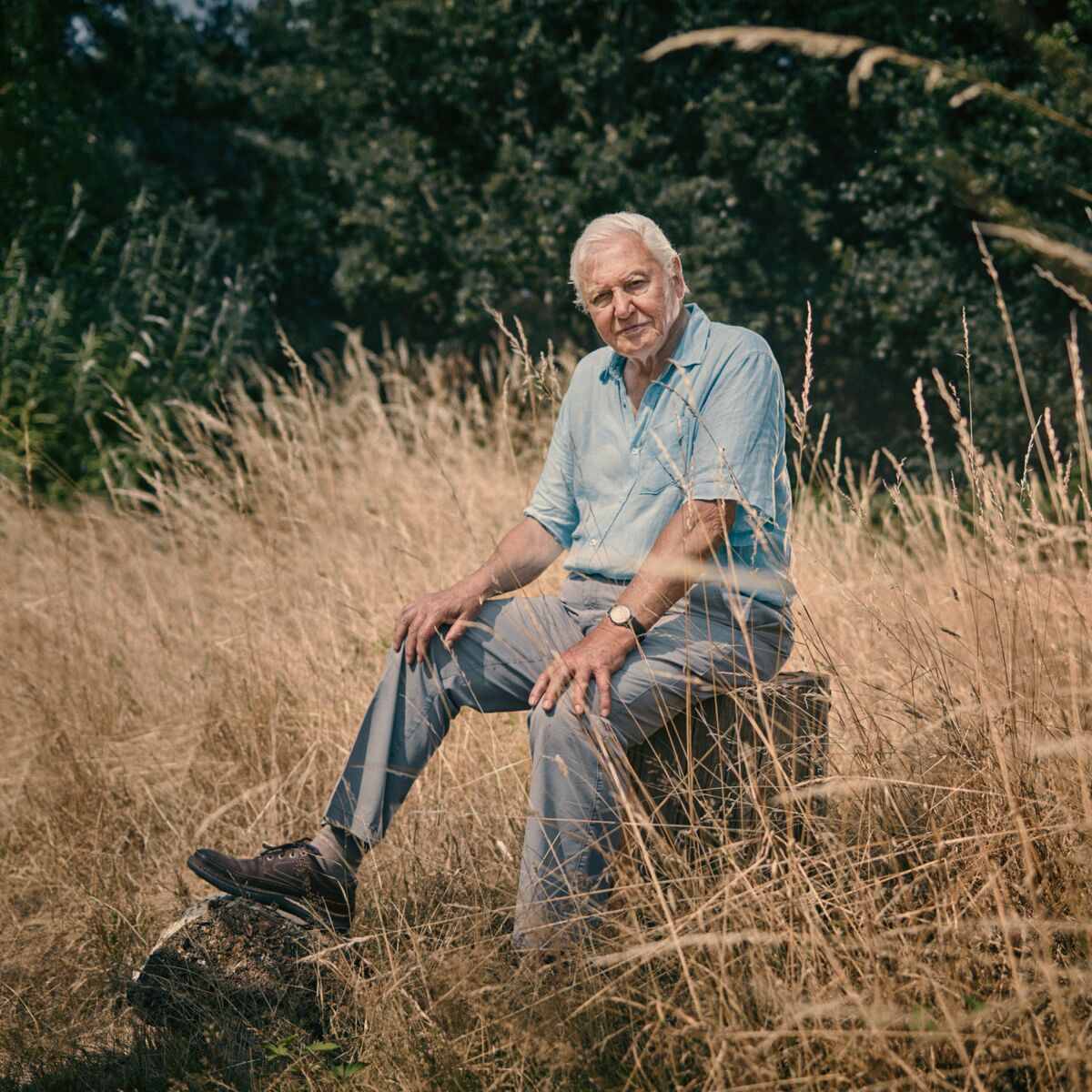 David Attenborough.