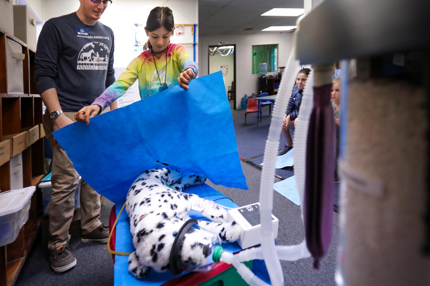 With Justin Norris, education coordinator at the Helen Woodward Animal Center guiding her, Liana Ring, 10, learns how animals are prepared for surgery using "Spot," a stuffed Dalmatian toy dog, during the one-day veterinarian camp, February 8, in Rancho Santa Fe.