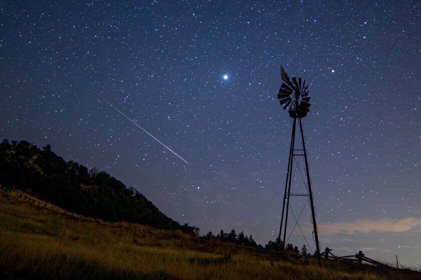 A Perseid meteor flashes through the sky above a meadow on Palomar Mountain.