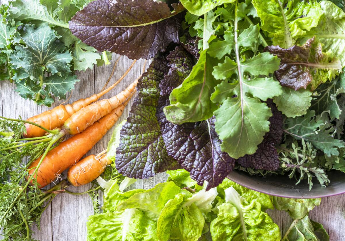 Carrot seeds are best planted directly into the soil.