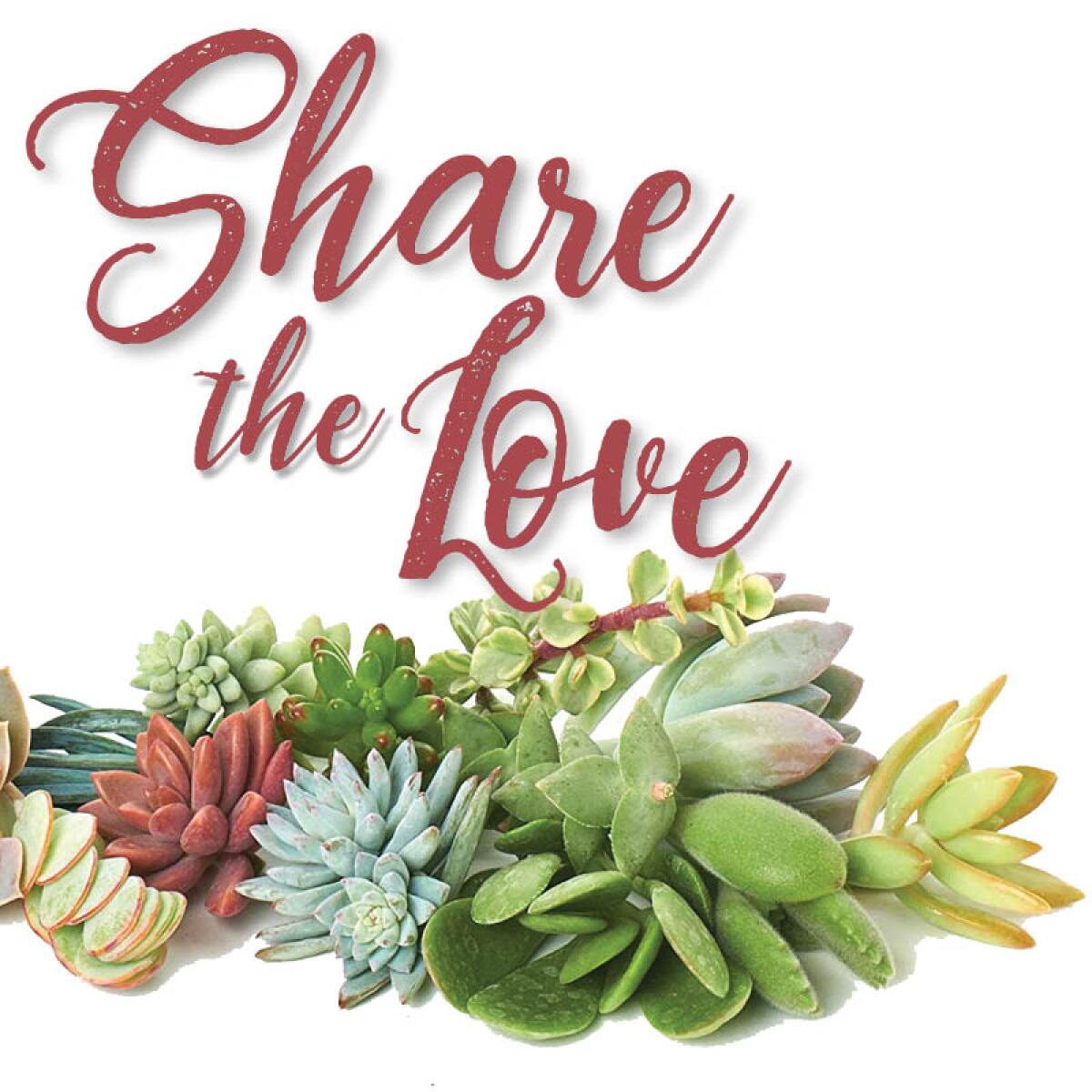 Master Gardener and club member Andrea Kessler will discuss how to grow cuttings, succulents and bulbs at the Feb. 10 event.