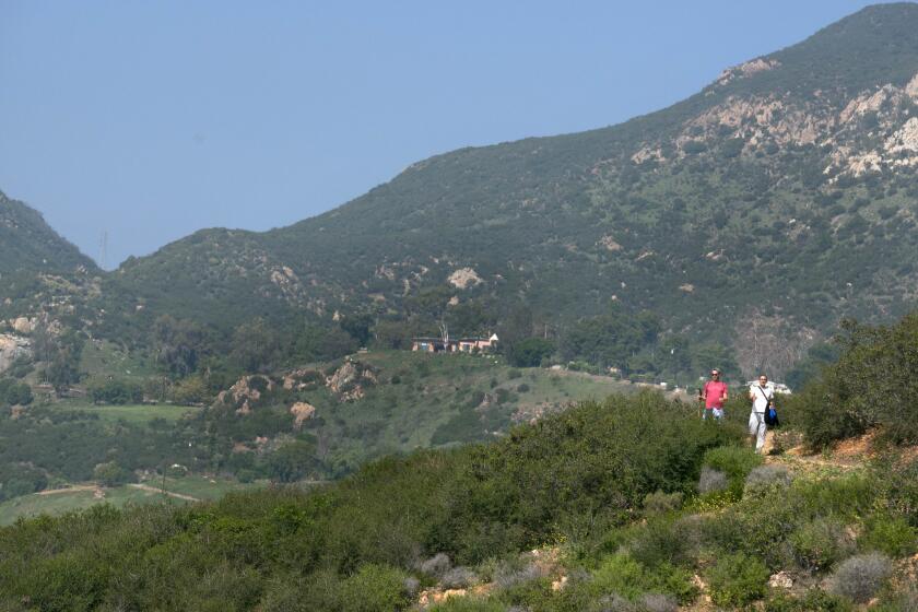 Follow the ridge on Rising Sun Trail. A series of winding switchbacks will lead to the ruins of the Roberts estate.