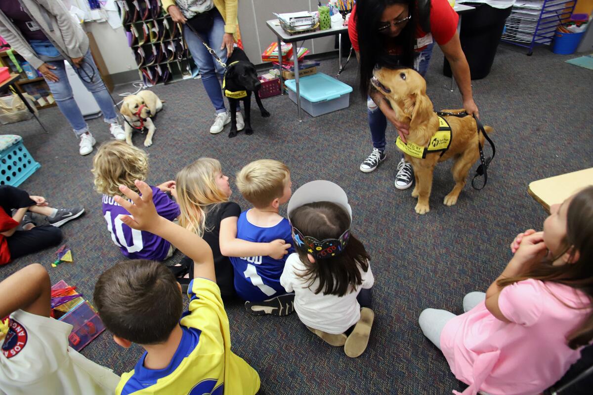 Students of Hope View Elementary School meet service dogs in training during the annual Service Dog Day on Wednesday.