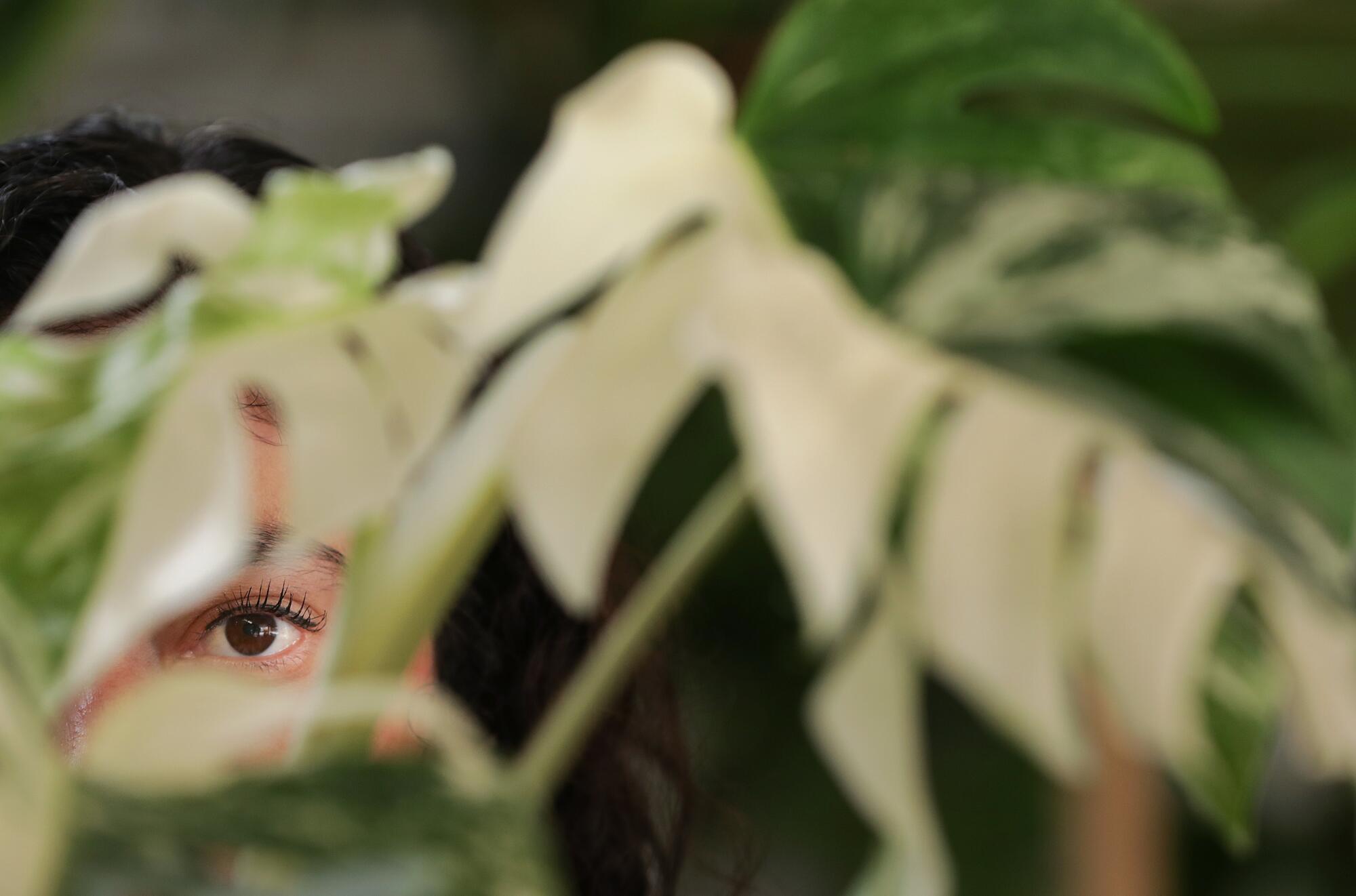Sandra Mejia, gazing at the camera while mostly obscured by a plant in the foreground.
