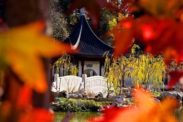 Huntington Library's Chinese garden