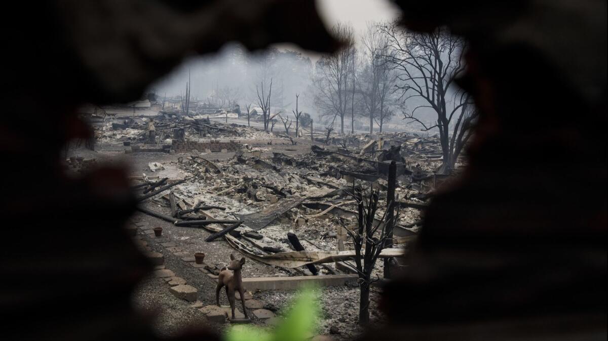 More than 1,000 people are still missing in the deadly Camp fire.