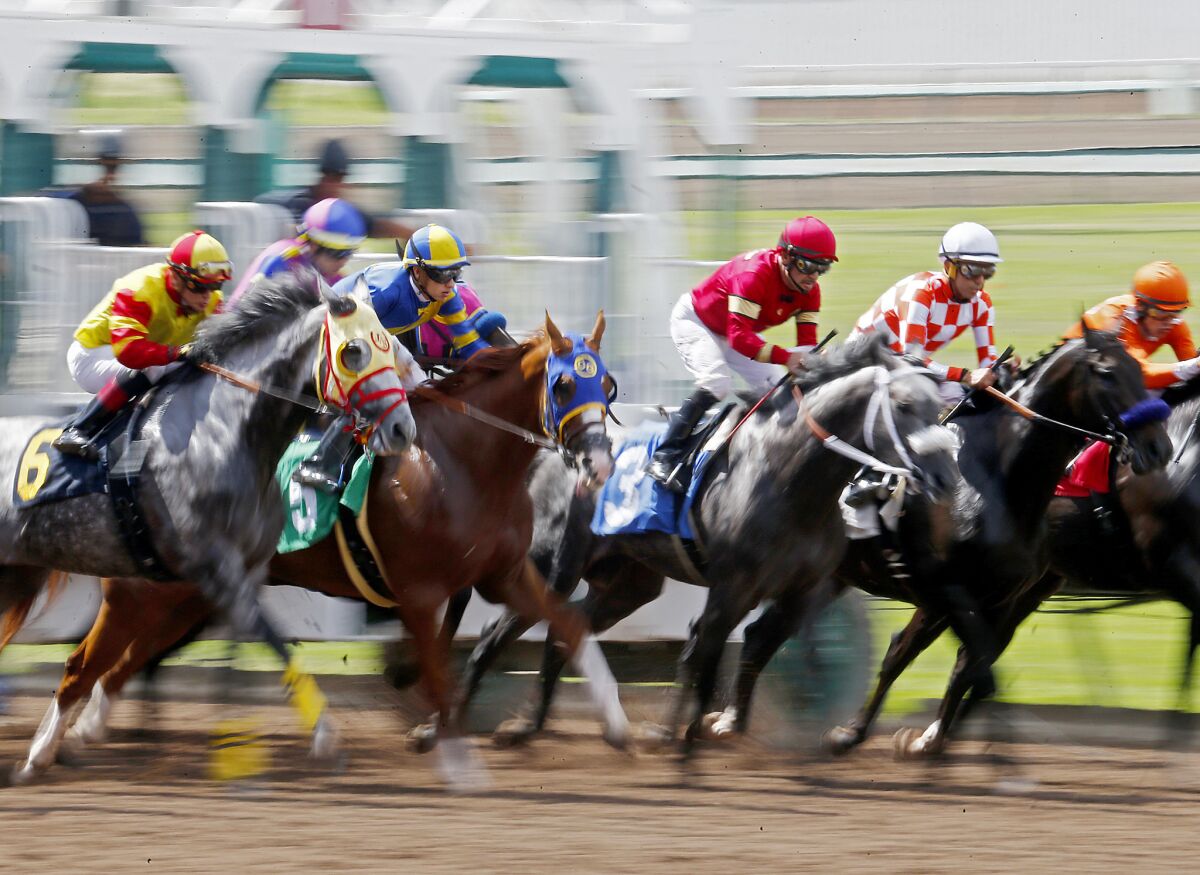 Horses and jockeys charge out of the starting gate during a race at the Los Alamitos Race Course.
