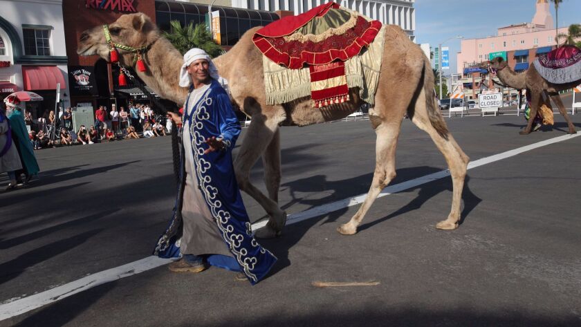 Holiday festivals, Christmas concerts, Hanukkah celebrations, menorah lightings and Christmas story reenactments are coming to North County. Here, a living nativity entrant walks with his camel in a past holiday parade in La Jolla.