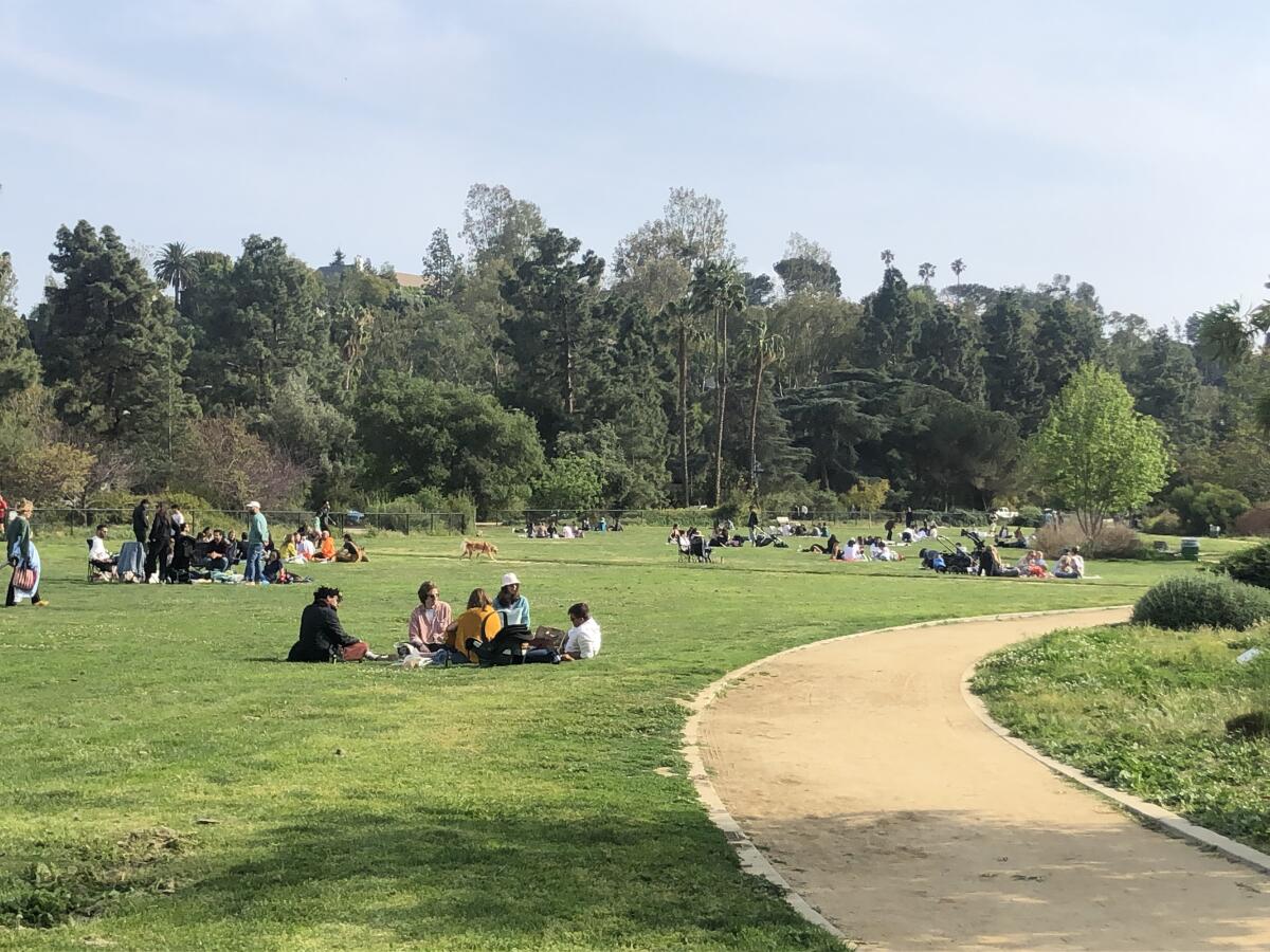 People sitting on the grass near a decomposed granite path with large trees in the background.