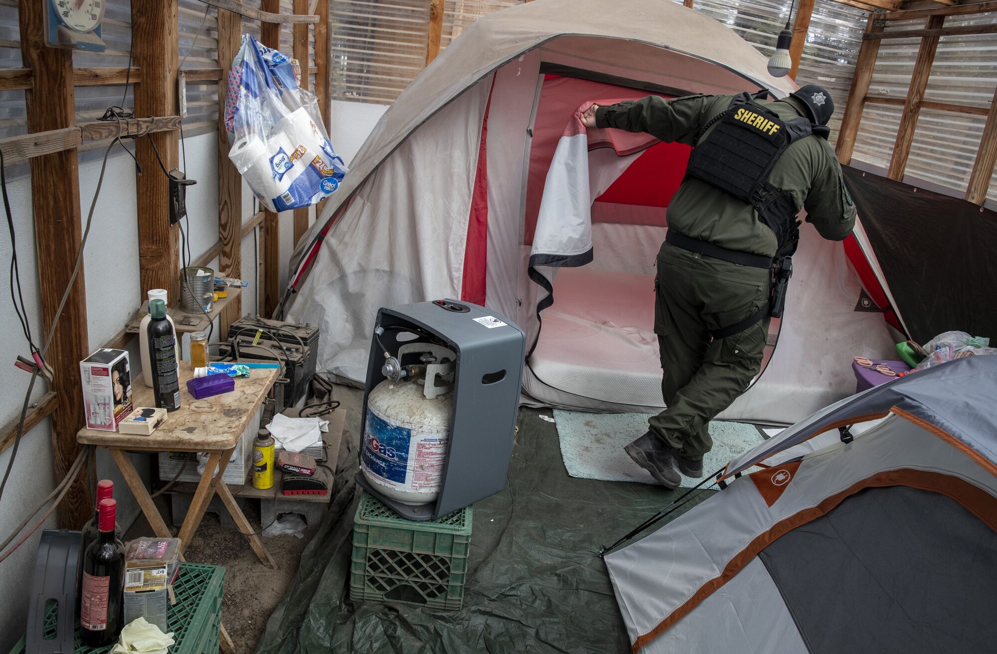 A sheriff's deputy searches a tent on an unlicensed cannabis farm.