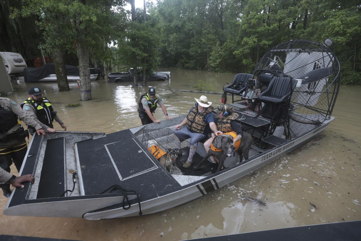 A man and dogs sit in an airboat as game wardens steady the boat in floodwaters. 