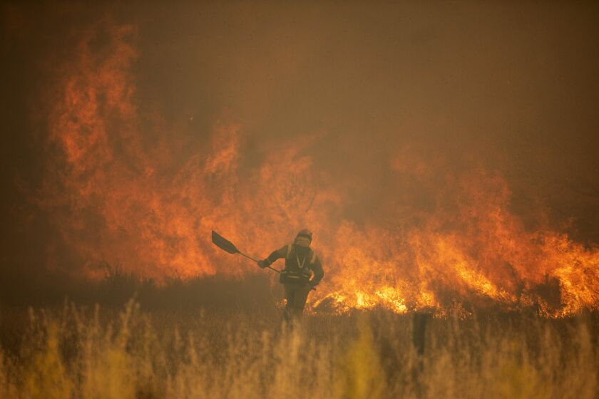 A firefighter works in front of flames during a wildfire in the Sierra de la Culebra in the Zamora Provence on Saturday June 18, 2022. Thousands of hectares of wooded hill land in northwestern Spain have been burnt by a wildfire that forced the evacuation of hundreds of people from nearby villages. Officials said the blaze in the Sierra de Culebra mountain range started Wednesday during a dry electric storm. (Emilio Fraile/Europa Press via AP)