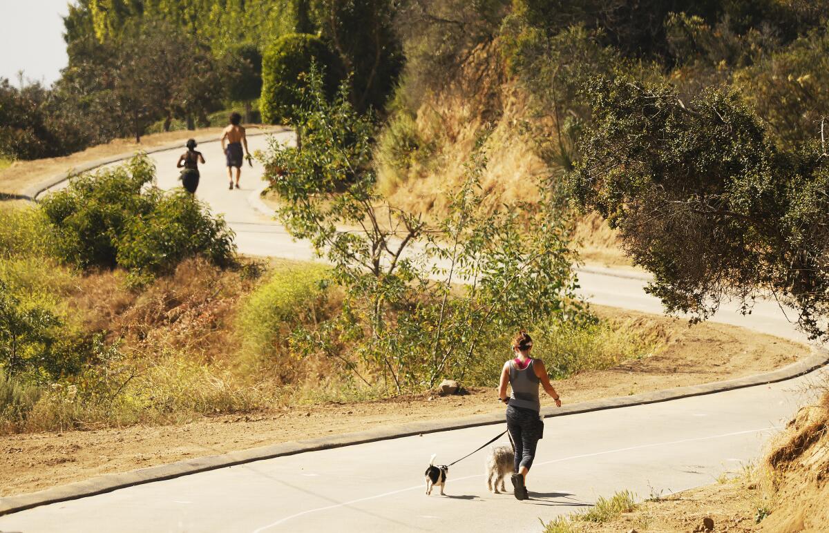 People and dogs on a paved trail in Runyon Canyon. 