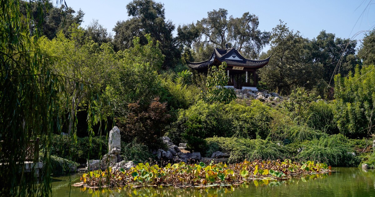 The Huntington's Chinese Garden is reopening on Oct. 9 Los Angeles Times