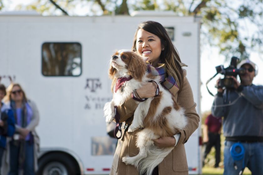 Nina Pham holds up Bentley, her King Charles spaniel, on Saturday at Hensley Field in Dallas.