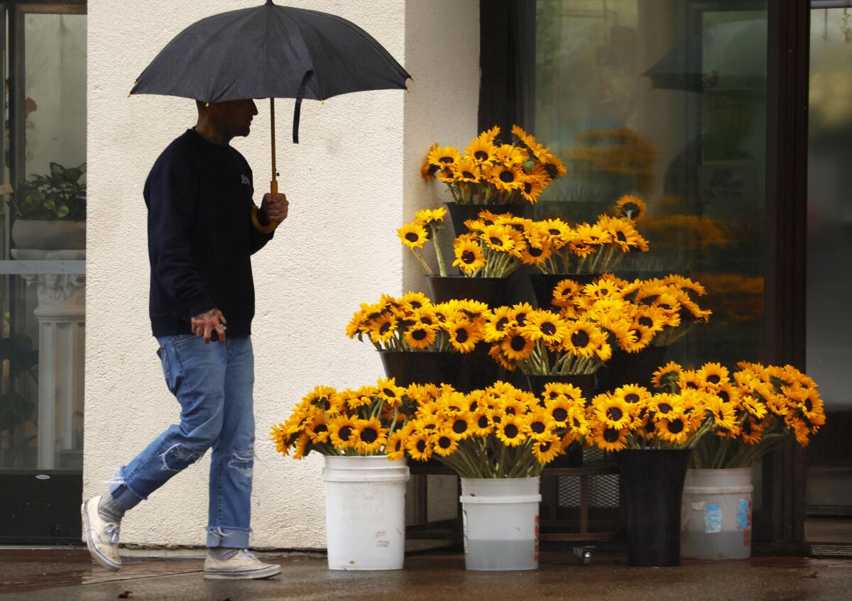 A man walks in the rain past sunflowers at a flower shop in downtown San Diego on Monday.