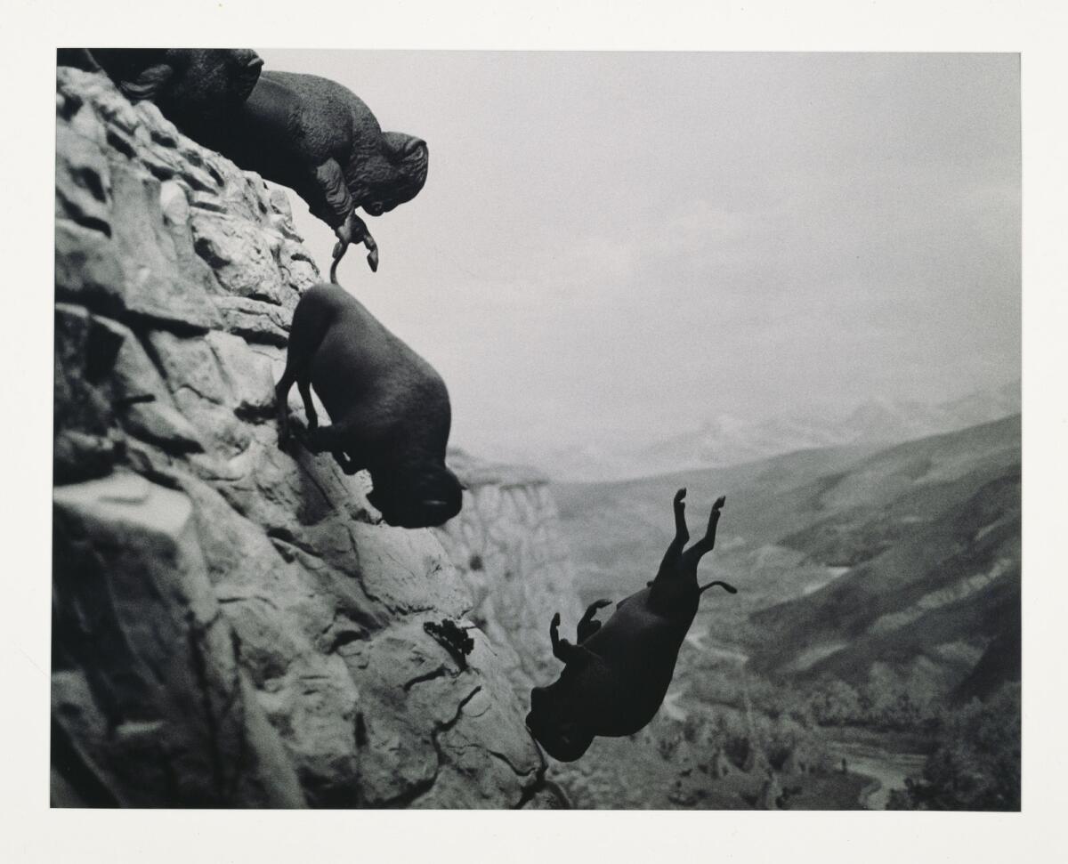 Untitled (Falling Buffalo), 1988-89, by David Wojnarowicz, from the documentary "Wojnarowicz."