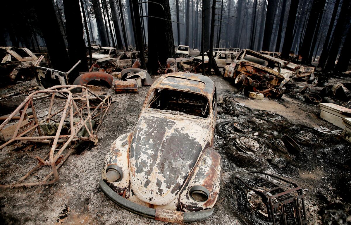 Burned vehicles lay scattered amid a forest of fire-scorched trees.