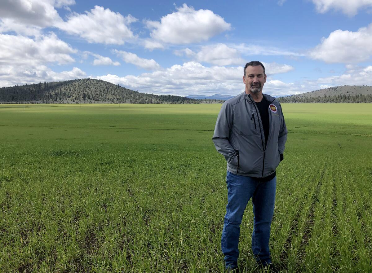 A man in a jacket stands in a green field with hills in the background.